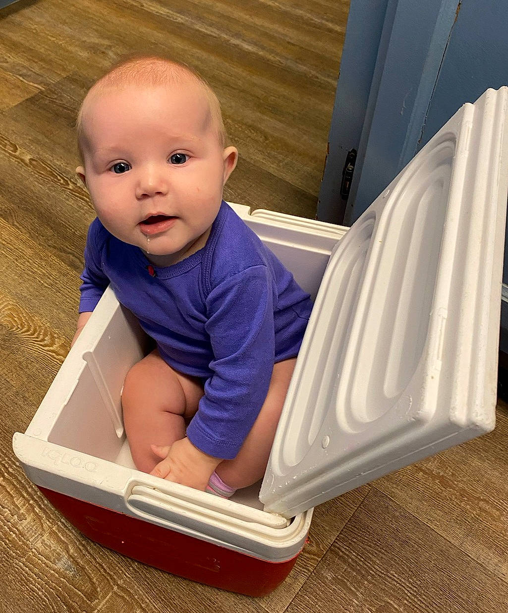 Leelynn is registered to the contest to win money with this photo: baby, baby_products, baby_safety, baby_toddler_clothing, child, comfort, composite_material, electric_blue, floor, flooring, hardwood, person, rectangle, room, sitting, sleeve, t_shirt, toddler, wood