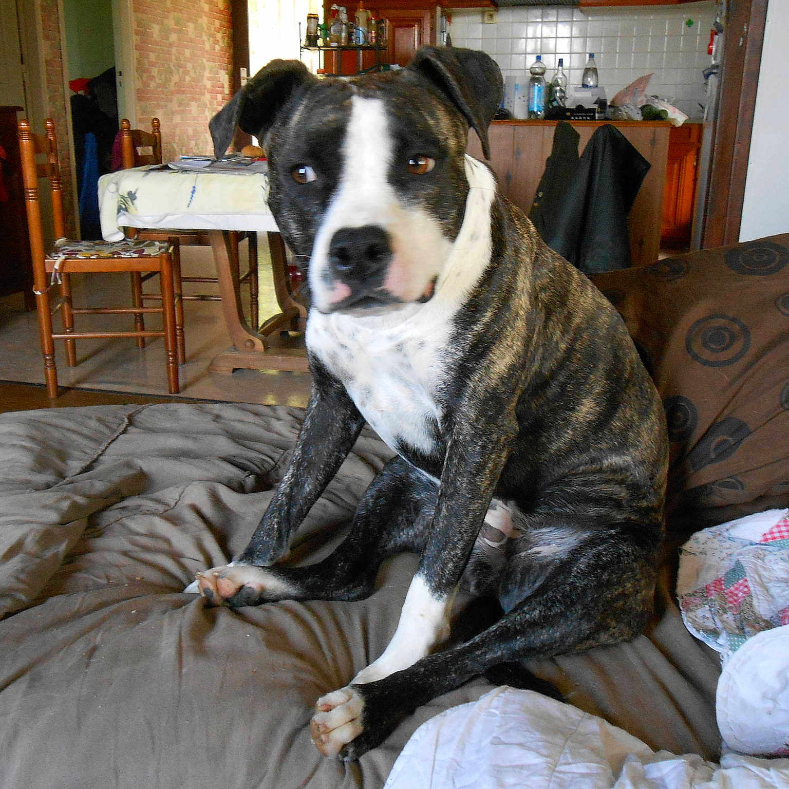 Guccy participe au concours pour gagner de l'argent avec cette photo :