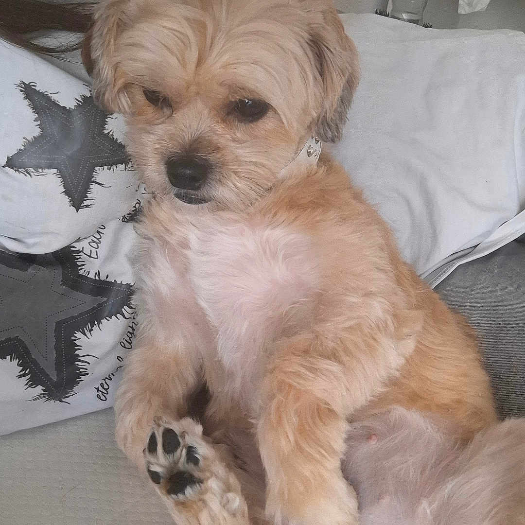 Nala