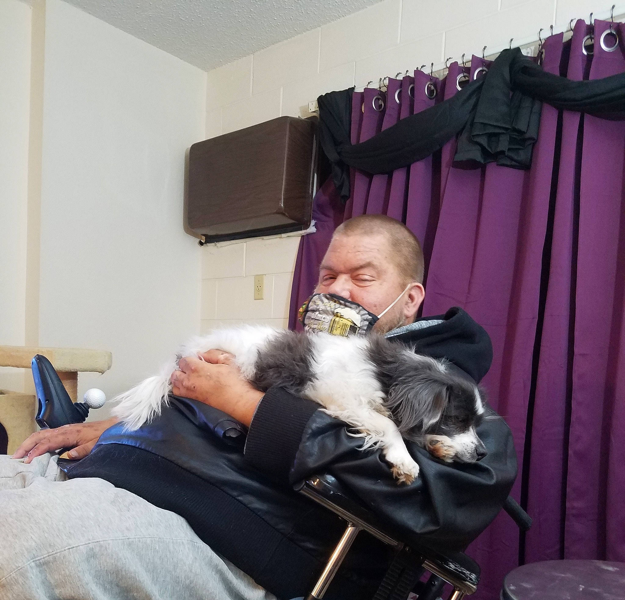 Checkers joined the competition — help win amazing prizes! beard, cat, chair, comfort, companion_dog, curtain, event, facial_hair, felidae, fur, lap, magenta, room, sitting