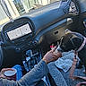 Dixie joined the competition — help win amazing prizes! dog, car_interior, dashboard, navigation_screen, person, hand, leash, collar, blanket, plastic_cup, tissue, seat, gear_shift, clothing, window, sunlight, pet, resting, interaction, travel