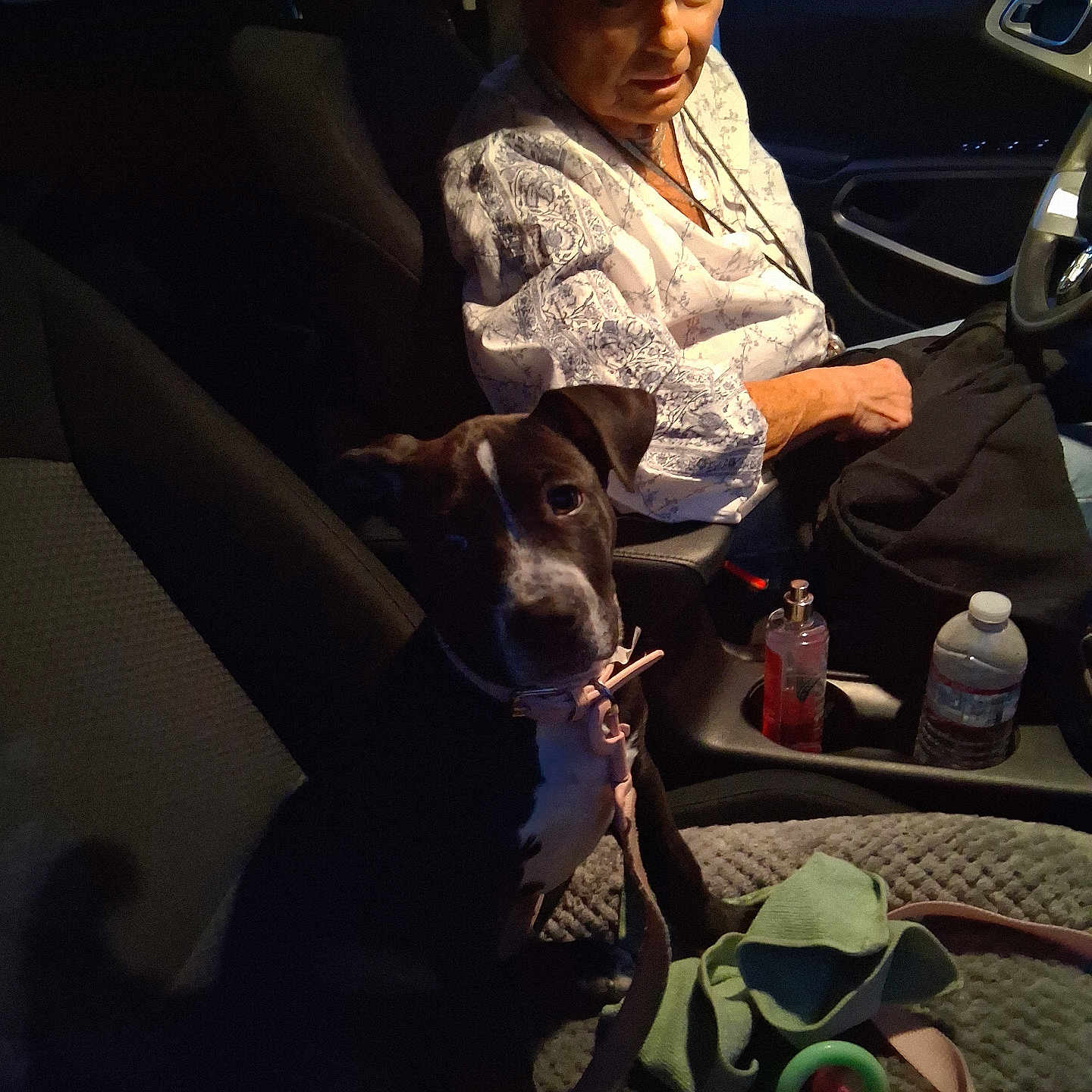 Dixie is registered to the contest to win money with this photo: dog, puppy, person, car_interior, seat, night, woman, leash, bottle, handbag, blanket, toy, seatbelt, window, dashboard, clothing, face, pet, restraint, container