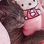 animal, blanket, cat, closeup, comfort, cozy, cuddle, cute, cute_character, fur, gray_cat, hello_kitty, indoors, napping, pet, pink, relaxing, resting, sleeping, soft