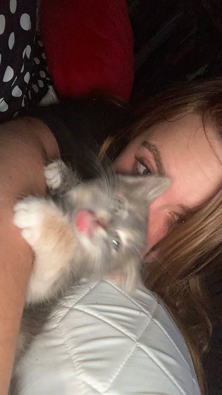 Satin is registered to the contest to win money with this photo: abdomen, carnivore, cat, comfort, companion_dog, dog_breed, ear, fawn, felidae, fur, human_leg, lap, nap, nose, paw, small_to_medium_sized_cats, sporting_group, thigh, toy_dog, whiskers