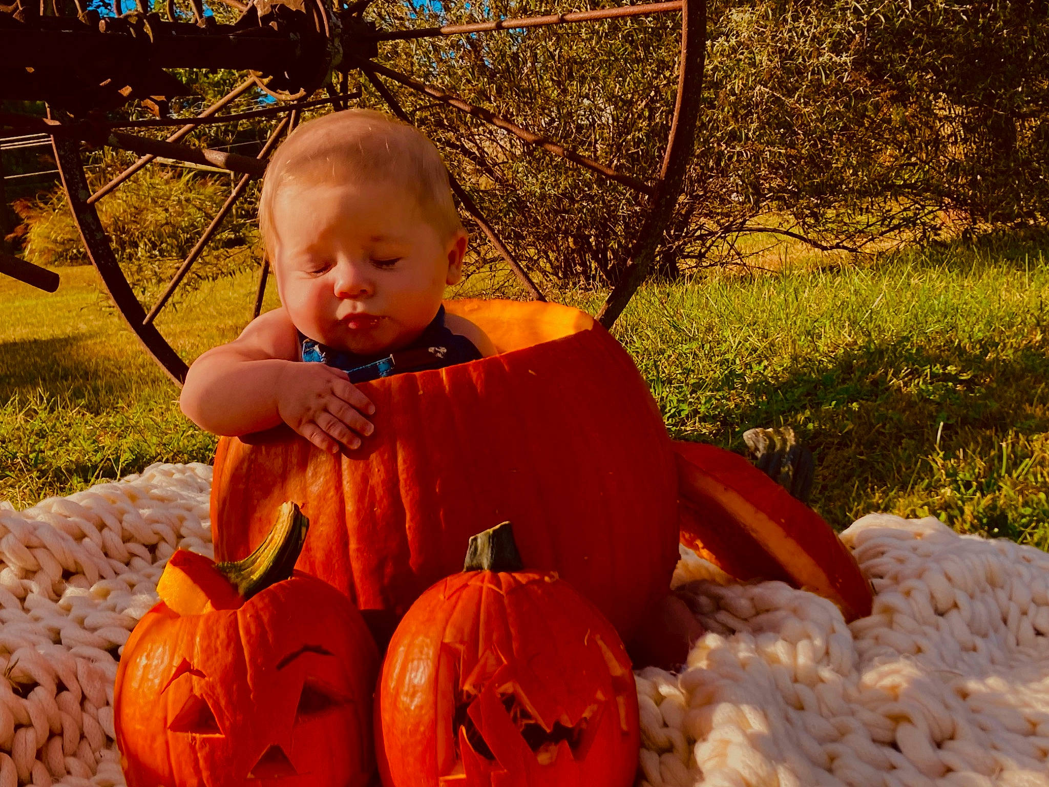 Kash is registered to the contest to win money with this photo: baby, calabaza, cucurbita, fruit, gourd, grass, happy, leaf, natural_foods, orange, people_in_nature, person, photograph, plant, pumpkin, squash, toddler, tree, vegetable, winter_squash