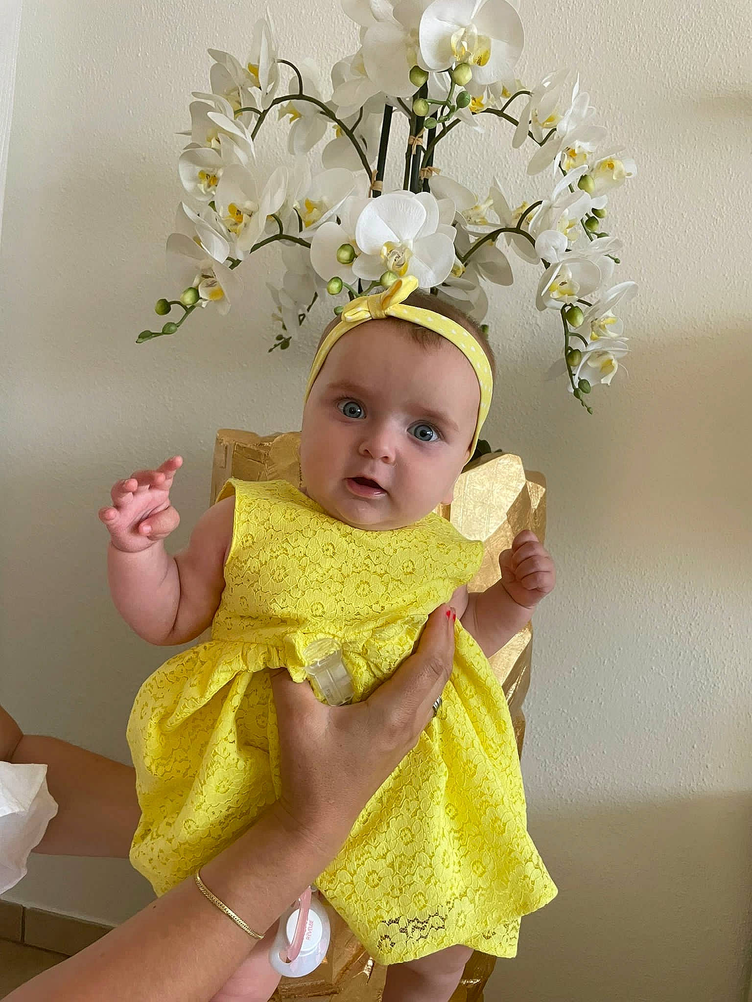 Blina participe au concours pour gagner de l'argent avec cette photo : baby, baby_toddler_clothing, costume_hat, cut_flowers, embellishment, event, fashion_accessory, flower, flower_arranging, gesture, hair_accessory, happy, headband, headgear, headpiece, jewellery, person, petal, toddler, twig