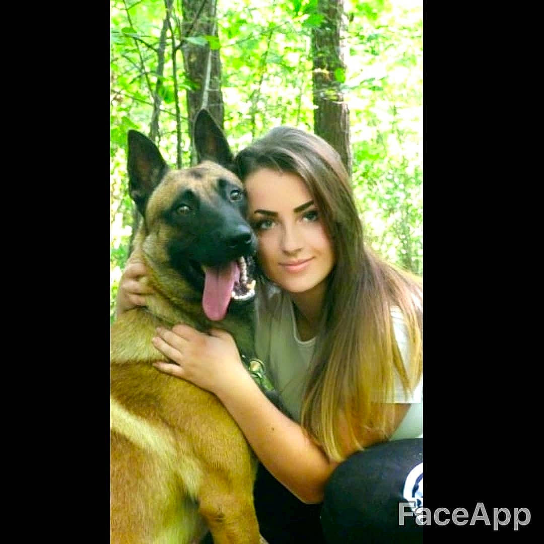 Olfy a rejoint le concours — aidez-le/la à gagner de superbes lots ! belgian_shepherd, belgian_shepherd_malinois, canidae, carnivore, dog, dog_breed, east_european_shepherd, fawn, german_shepherd_dog, giant_dog_breed, king_shepherd, kunming_wolfdog, mammal, old_german_shepherd_dog, police_dog, shiloh_shepherd_dog, vertebrate, working_dog