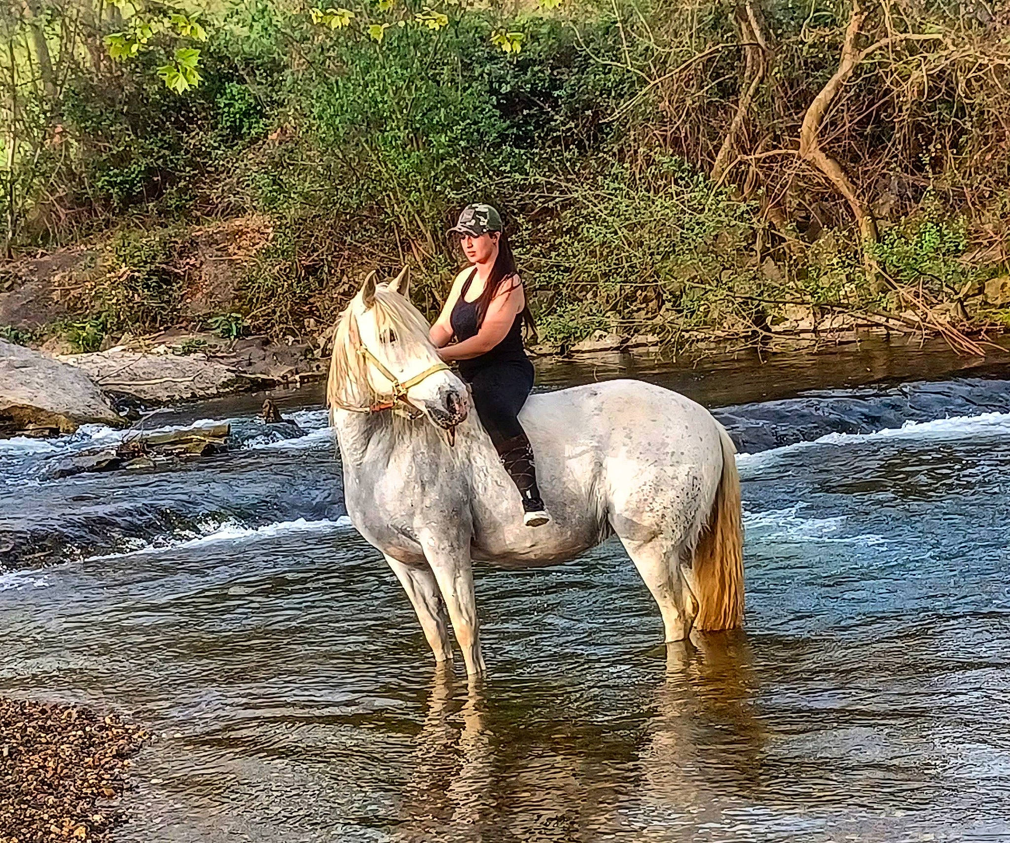Samba participe au concours pour gagner de l'argent avec cette photo : bank, body_of_water, bridle, horse, horse_supplies, horse_tack, lake, landscape, livestock, mammal, mane, natural_landscape, pack_animal, plant, recreation, rein, vertebrate, water, watercourse, working_animal