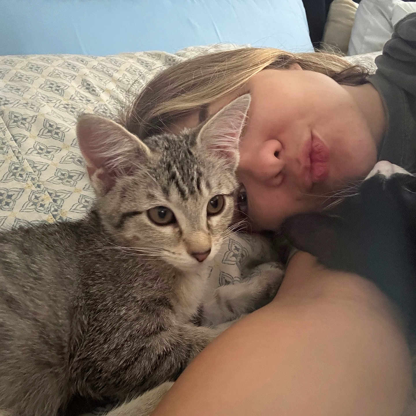 Nugget joined the competition — help win amazing prizes! person, cat, kitten, bed, pillow, gray_tabby, black_and_white_cat, face, lying_down, close_up, indoor, cozy, pet, animal, sleeping_area, resting, cute, feline, portrait, home