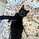 Binx