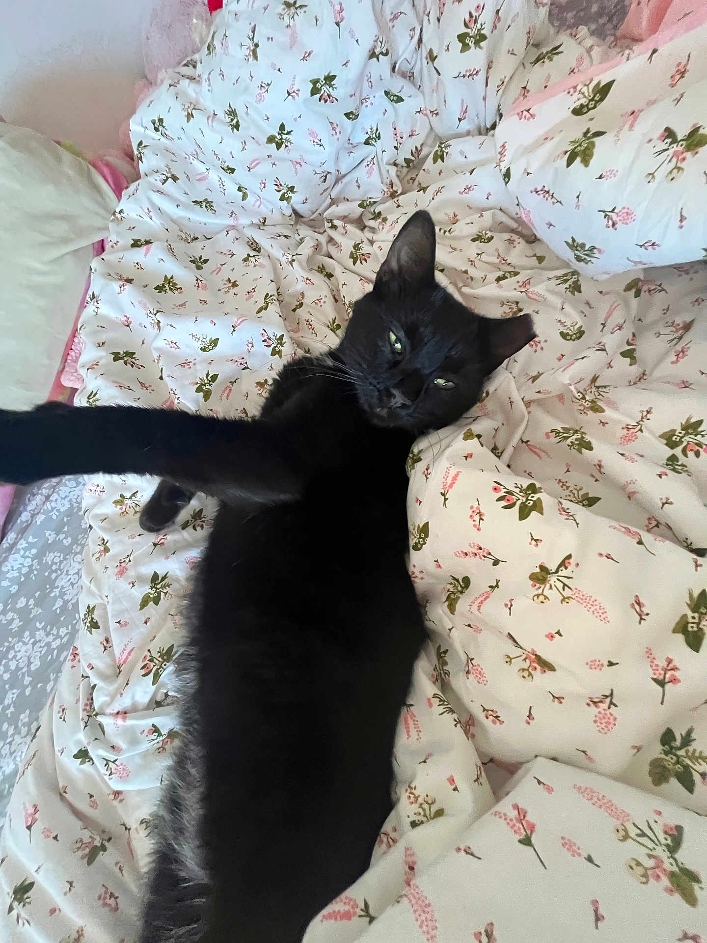 Binx
