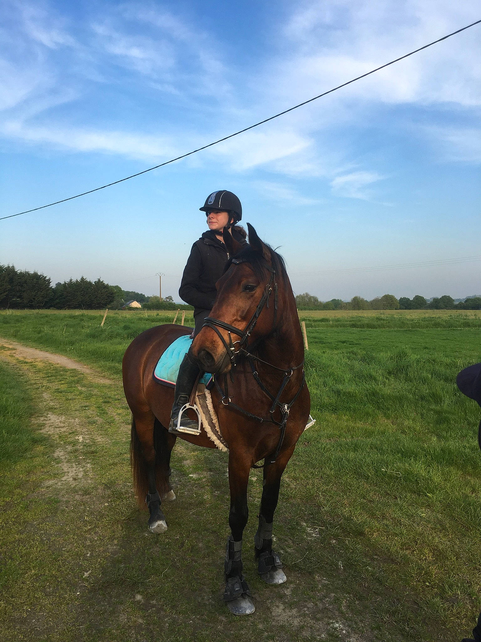 Ganty Lady participe au concours pour gagner de l'argent avec cette photo : animal_sports, bridle, equestrian_sport, equestrianism, grassland, halter, horse, horse_supplies, horse_trainer, mammal, mane, mare, outdoor_recreation, recreation, rein, saddle, sky, stallion, trail_riding, vertebrate