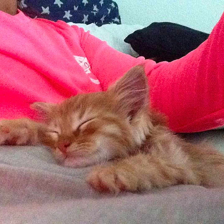 Marley a rejoint le concours — aidez-le/la à gagner de superbes lots !