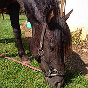 Decibelle a rejoint le concours — aidez-le/la à gagner de superbes lots !