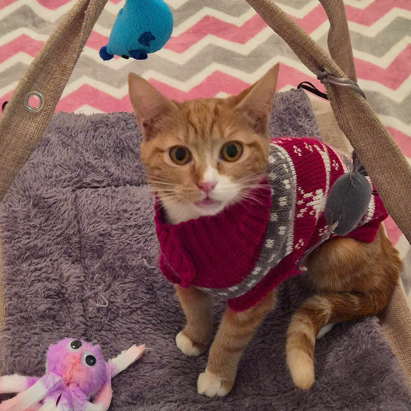 Noël Et Nala