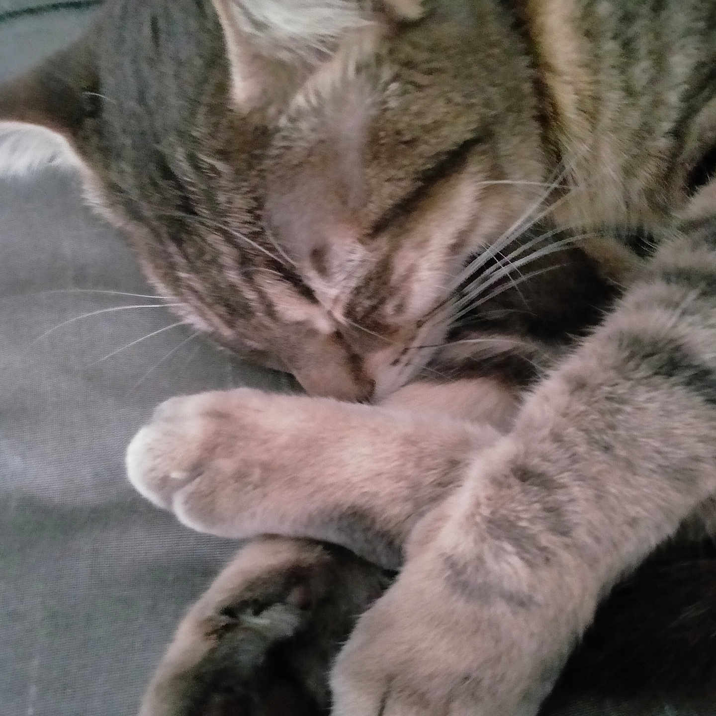 Nalla