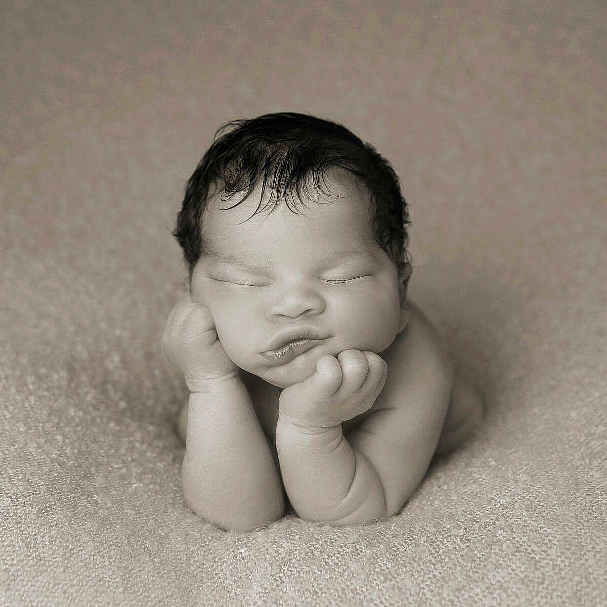 Sirius is registered to the contest to win money with this photo: