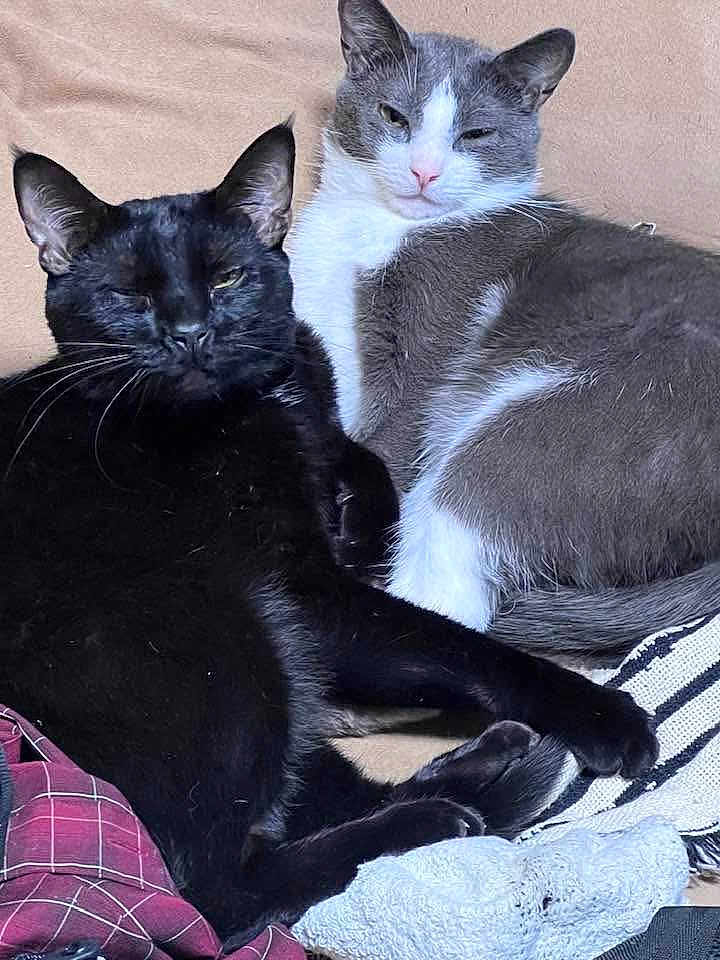 Huckleberry And Toby