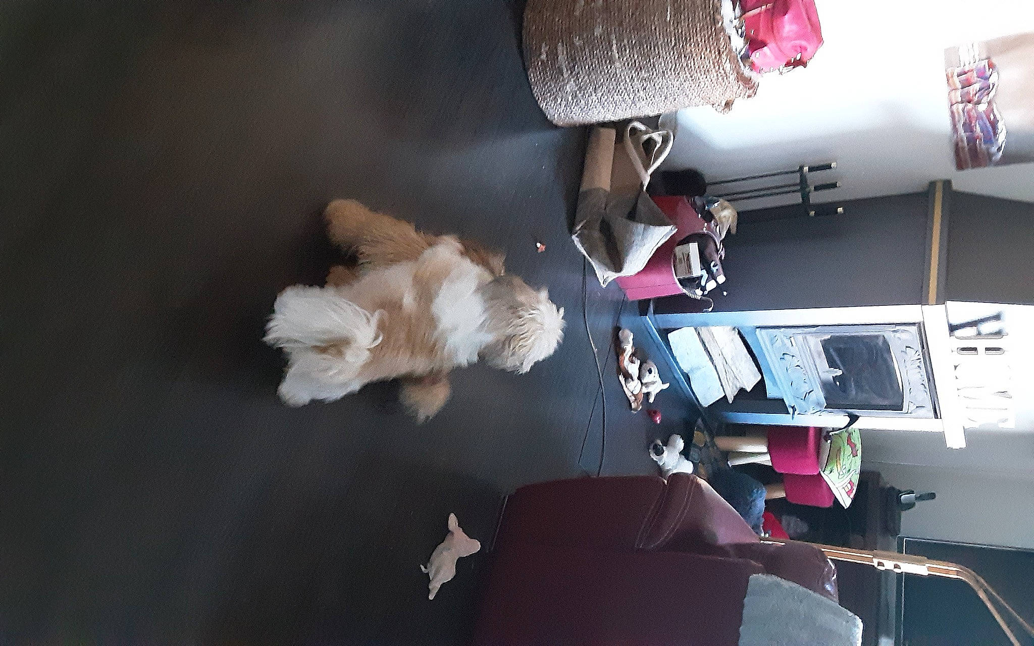 Lucien participe au concours pour gagner de l'argent avec cette photo : audio_equipment, dress, event, fun, machine, magenta, microphone, room