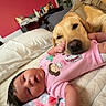 Vivianna is registered to the contest to win money with this photo: baby, dog, labrador, bed, blanket, pink_onesie, indoor, face, pet, child, room, friendship, resting, floor, comfort, cute, animal, sleepy, love, cozy