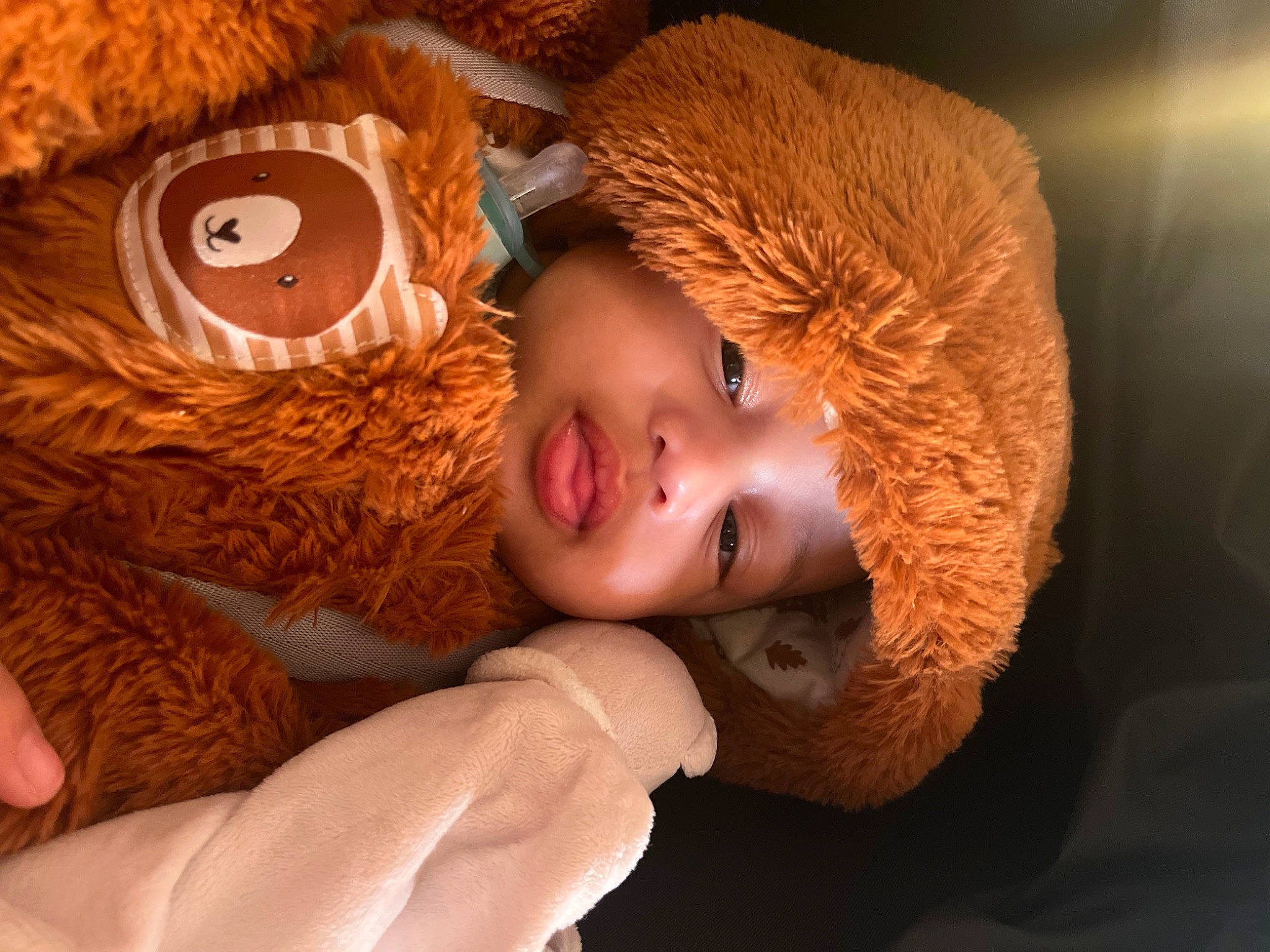 Mamady a rejoint le concours — aidez-le/la à gagner de superbes lots ! brown_hair, cheek, child, doll, eye, eyelash, flash_photography, fun, fur, gesture, happy, head, headgear, nose, person, plush, skin, stuffed_toy, teddy_bear, toy