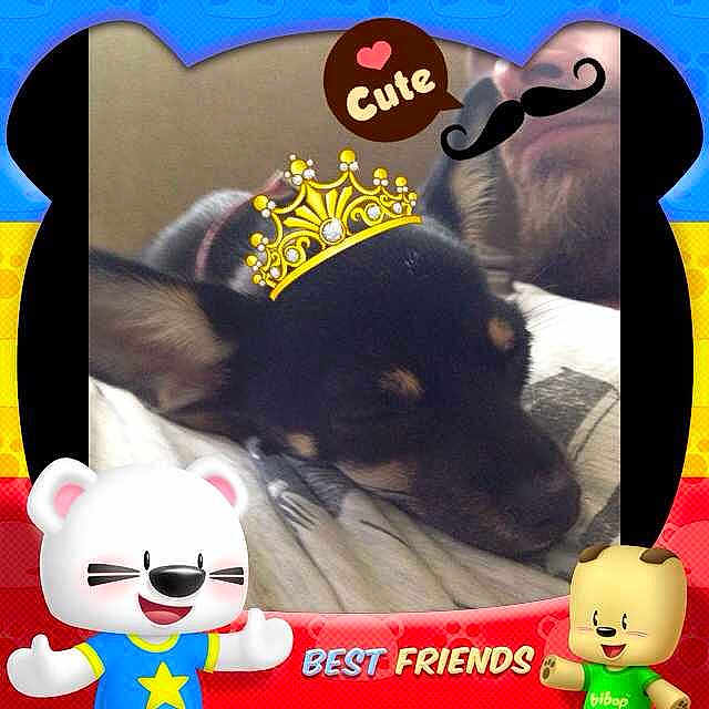 Princess Peaches is registered to the contest to win money with this photo: