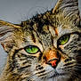 Utopia participe au concours pour gagner de l'argent avec cette photo : cat, tabby_cat, close_up, green_eyes, fur, whiskers, animal, pet, face, ears, nose, portrait, feline, cute, domestic_cat, mammal, looking, indoor, detail, focus