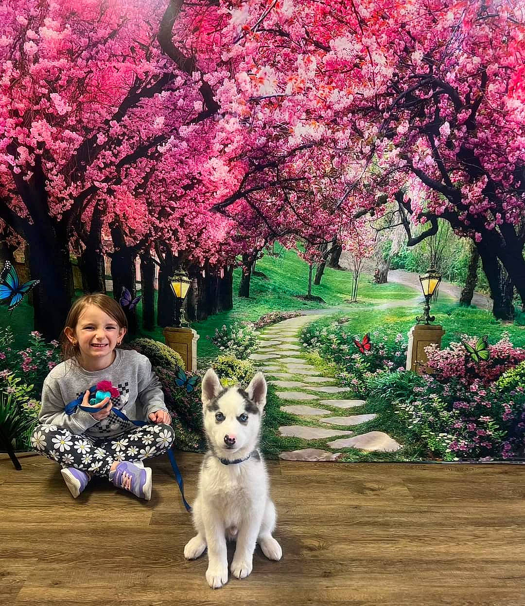 Dembe joined the competition — help win amazing prizes! blossom, carnivore, companion_dog, dog, dog_breed, fawn, flower, grass, happy, leisure, light, magenta, nature, people_in_nature, photograph, pink, plant, sled_dog, tints_and_shades, tree