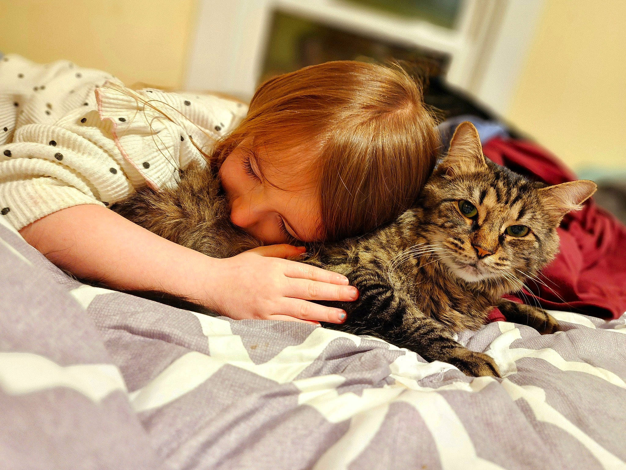 Mila is registered to the contest to win money with this photo: bed, bedding, carnivore, cat, claw, comfort, domestic_short_haired_cat, ear, felidae, fur, gesture, linens, mammal, nap, person, room, sitting, small_to_medium_sized_cats, toddler, vertebrate