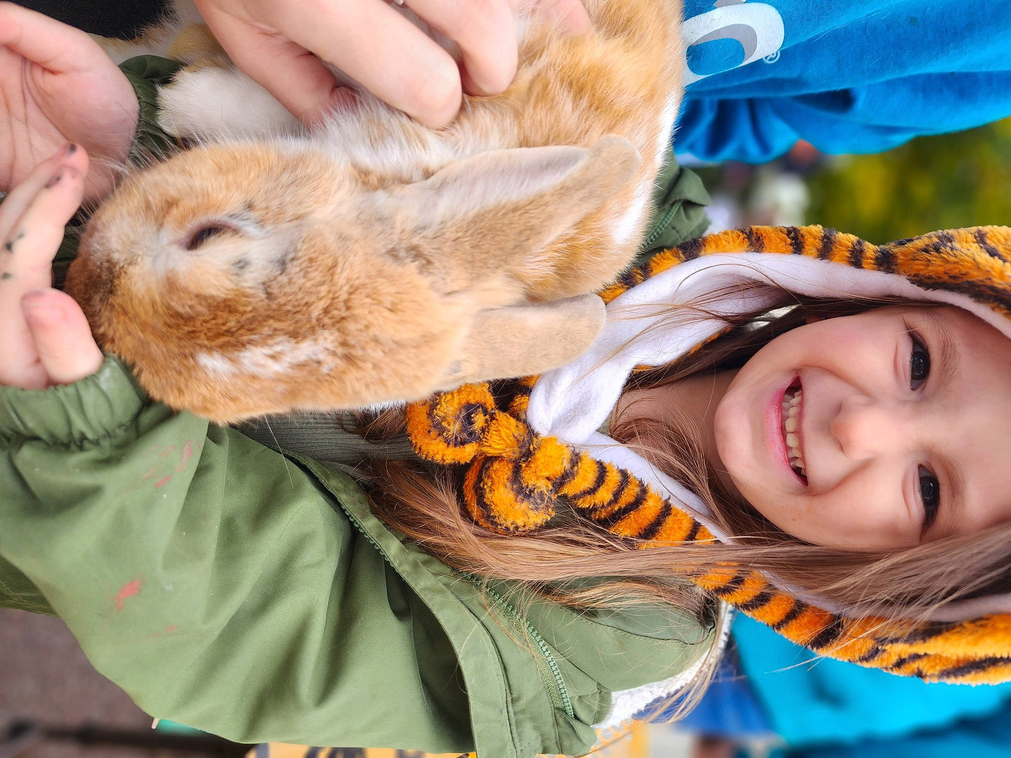 Mila joined the competition — help win amazing prizes! child, domestic_rabbit, event, fashion_accessory, felidae, fun, fur, gesture, grass, hand, happy, headwear, joy, leisure, mammal, people_in_nature, person, rabbit, rabbits_and_hares, skin