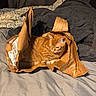 Mouse joined the competition — help win amazing prizes! cat, orange_tabby, paper_bag, bed, blanket, indoor, pet, animal, fur, cozy, curious, resting, domestic_cat, feline, soft_lighting, crumpled_paper, relaxed, sleepy, cute, whiskers