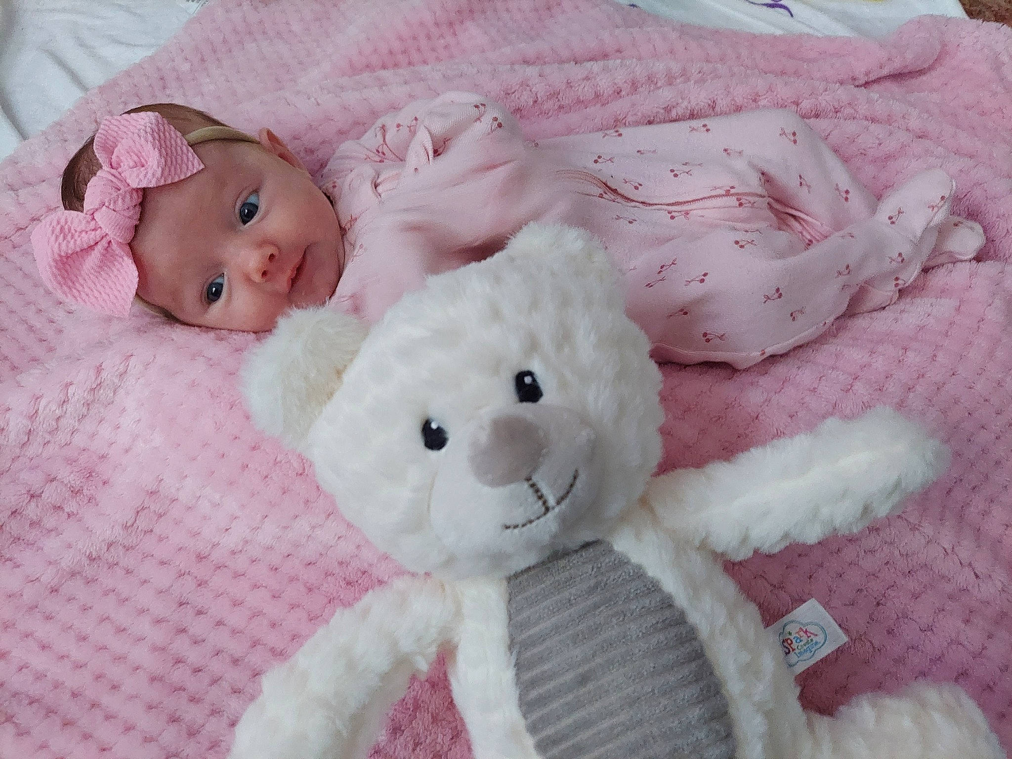 Leora is registered to the contest to win money with this photo: baby, baby_toddler_clothing, cheek, child, comfort, creative_arts, fur, linens, magenta, pattern, person, pink, plush, room, skin, stuffed_toy, textile, toddler, toy, white