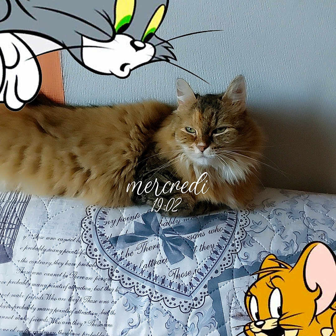Nina