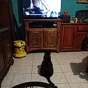 Ponpon participe au concours pour gagner de l'argent avec cette photo : cat, television, living_room, wooden_furniture, vacuum_cleaner, clock, tiled_floor, remote_control, glass_table, person_on_tv, indoor, pet, animal, watching_tv, cabinet, decor, shadow, seat, electronics, wall