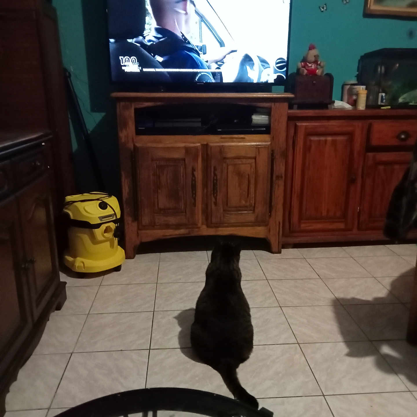 Ponpon participe au concours pour gagner de l'argent avec cette photo : cat, television, living_room, wooden_furniture, vacuum_cleaner, clock, tiled_floor, remote_control, glass_table, person_on_tv, indoor, pet, animal, watching_tv, cabinet, decor, shadow, seat, electronics, wall