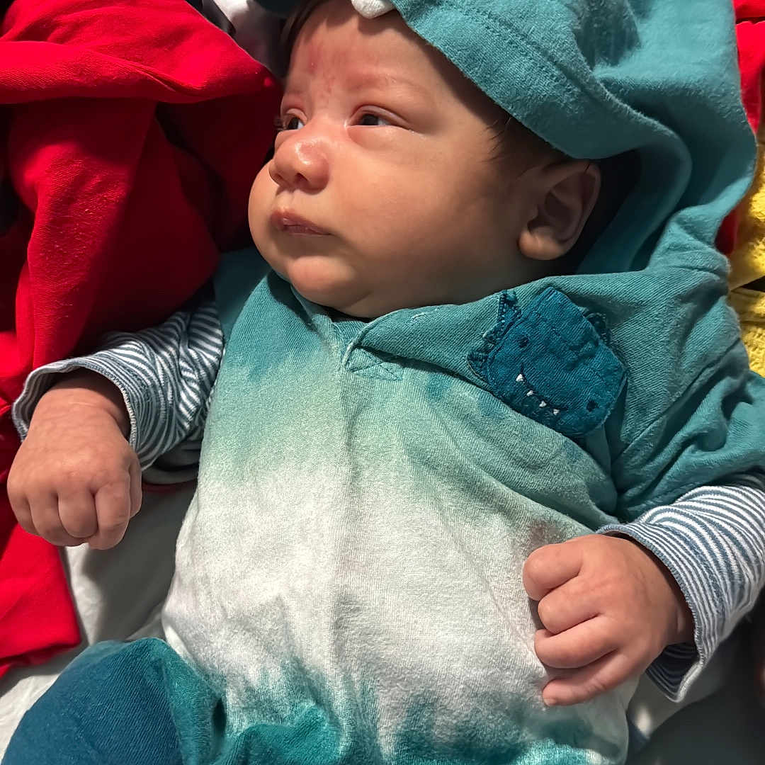 Reyder joined the competition — help win amazing prizes! baby, blanket, blue_clothing, child, clothing, cute, dinosaur_hood, face, fist, hooded_outfit, indoors, infant, person, portrait, red_blanket, sitting, soft_fabric, striped_sleeves, white_blanket, young_child