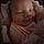 Everleigh