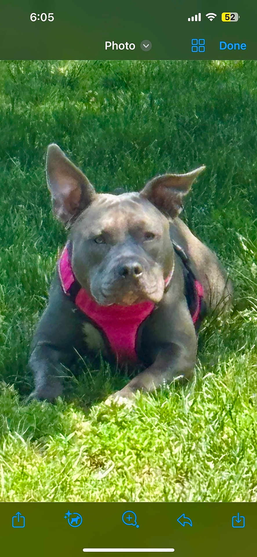 Chloe