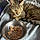 Eep