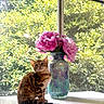 cat, kitten, bengal_cat, flower_vase, pink_flowers, window, greenery, indoor, sunlight, table, pet, animal, plant, decor, nature, feline, domestic_animal, still_life, bright, curiosity