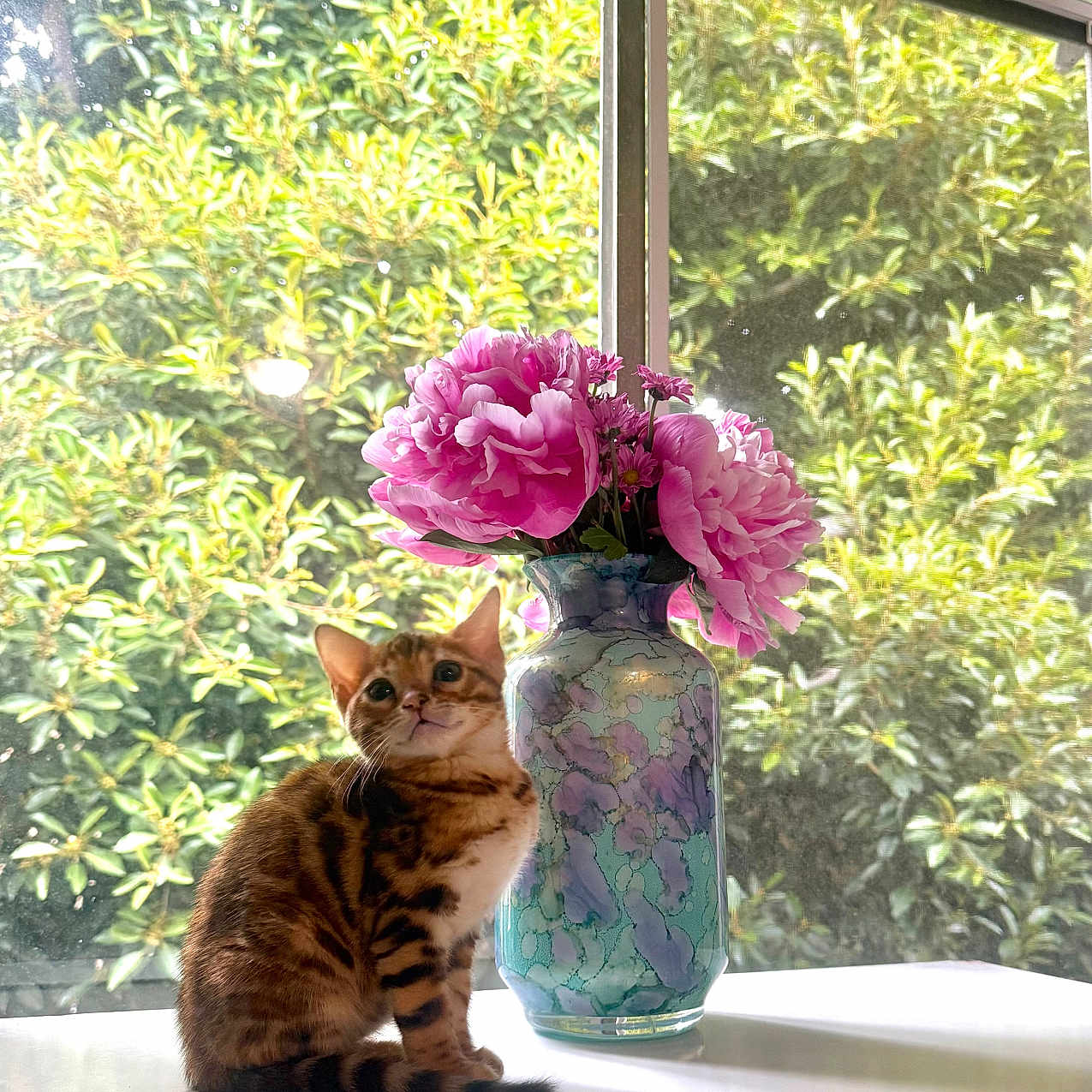 Coco