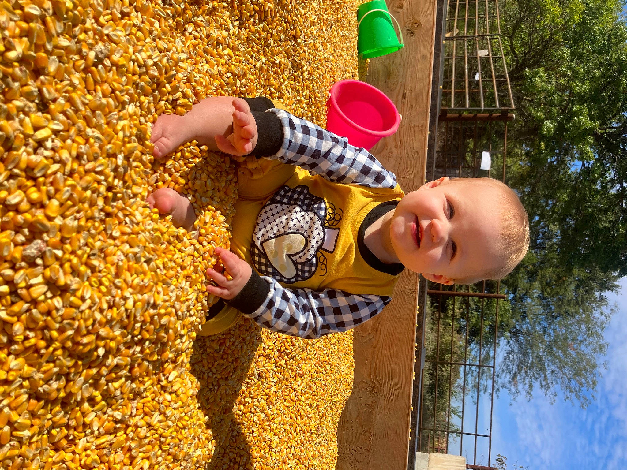 Haven is registered to the contest to win money with this photo: baby, baby_laughing, baby_toddler_clothing, child, city, fun, grass, happy, leaf, leisure, people_in_nature, play, sky, smile, soil, sunlight, toddler, tree, window, yellow