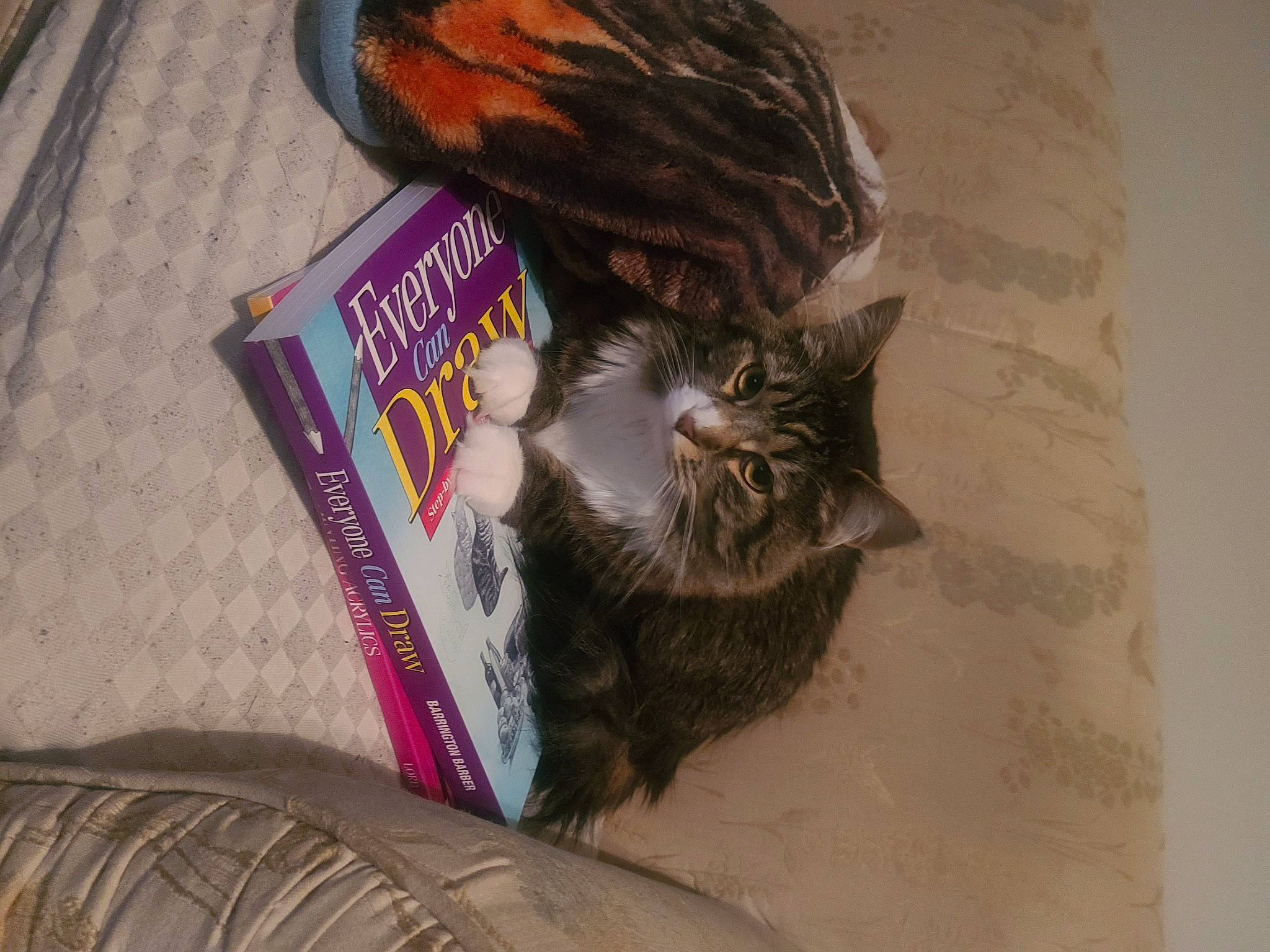 Jon joined the competition — help win amazing prizes! book_cover, brown, carnivore, cat, claw, domestic_short_haired_cat, felidae, fur, liver, publication, small_to_medium_sized_cats, tail, whiskers