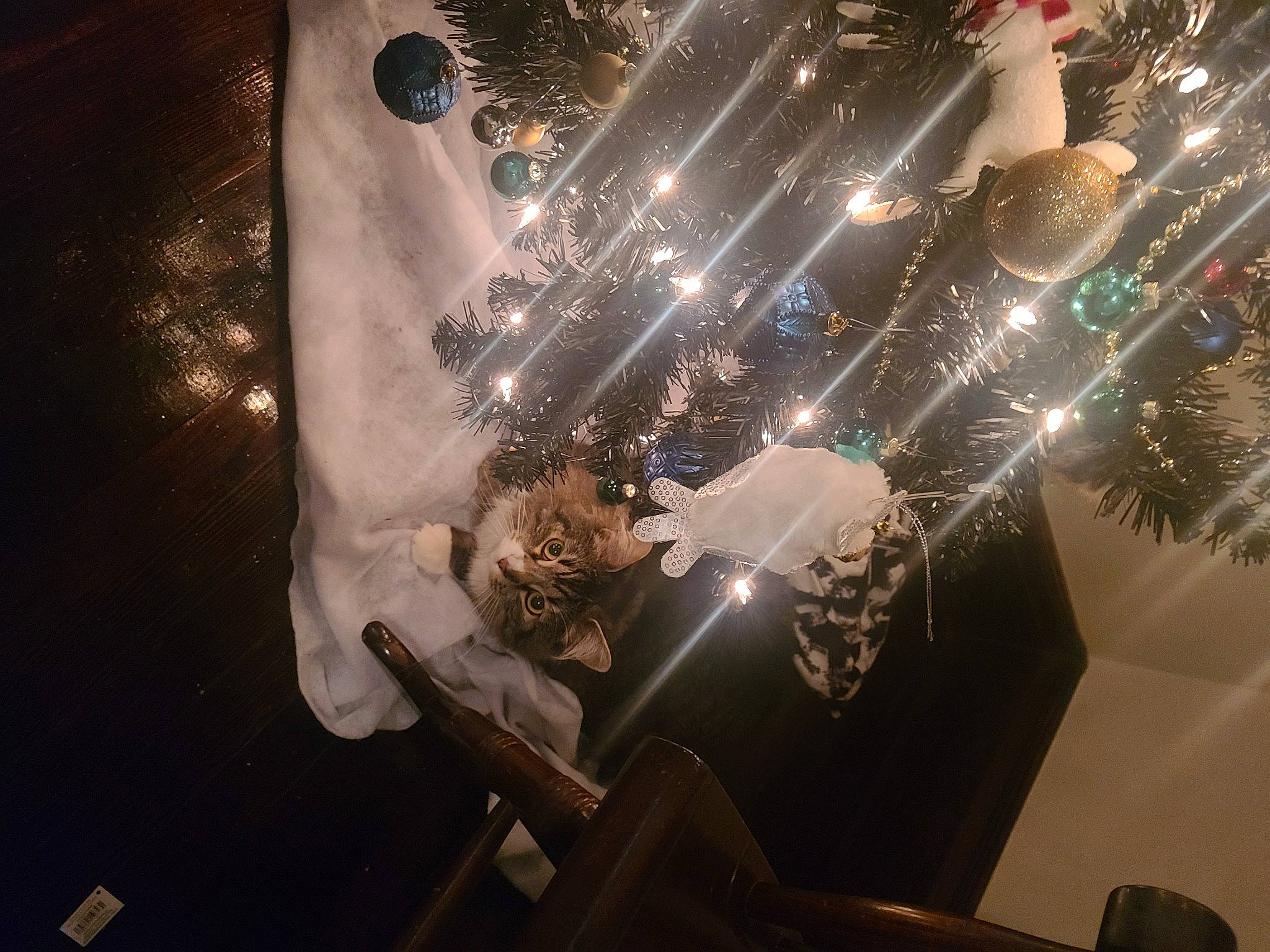 Jon joined the competition — help win amazing prizes! automotive_lighting, ceiling, circle, darkness, electricity, entertainment, event, fun, glass, holiday, interior_design, lens_flare, light_bulb, light_fixture, metal, night, public_event, reflection, room, space