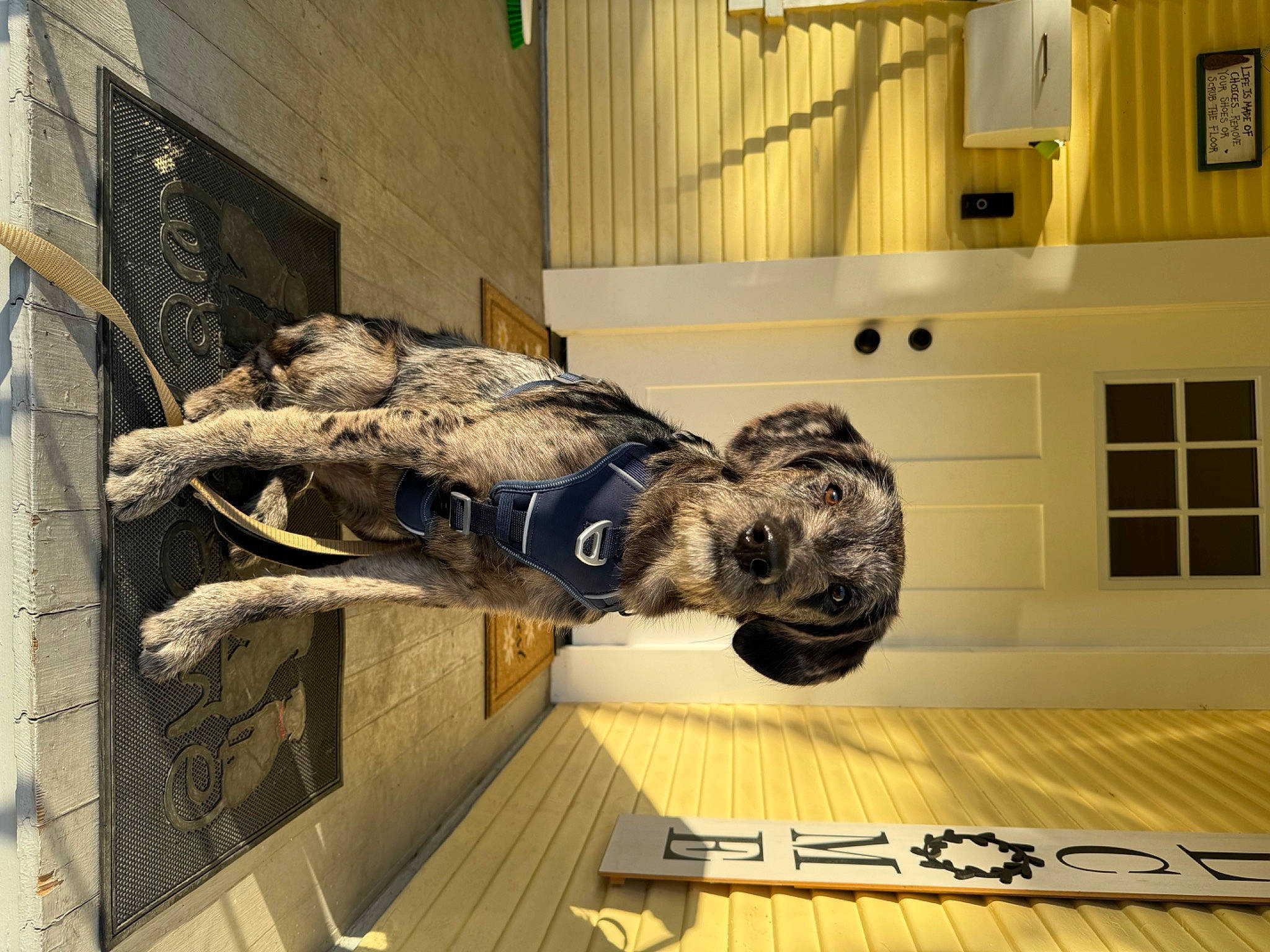 Hank is registered to the contest to win money with this photo: art, artifact, building, dinosaur, extinction, flooring, fossil, hardwood, machine, metal, sculpture, skeleton, skull, statue, tourist_attraction, tyrannosaurus, velociraptor, visual_arts, window, wood