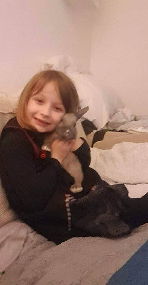 Clara participe au concours pour gagner de l'argent avec cette photo : arm, blond, carnivore, comfort, companion_dog, fawn, felidae, fur, happy, human_leg, iris, joy, lap, leg, long_hair, person, sitting, skin, small_to_medium_sized_cats, smile