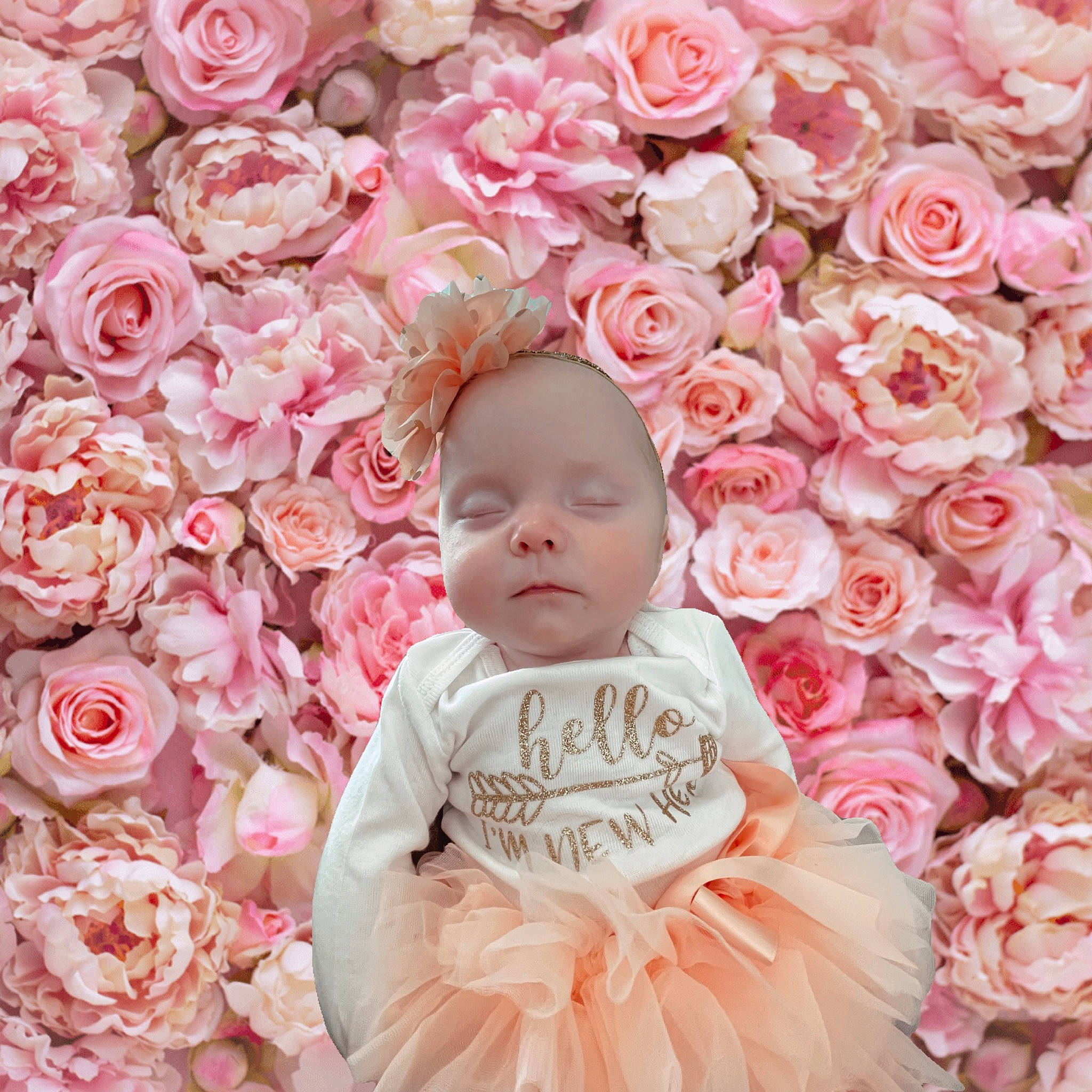 Ari is registered to the contest to win money with this photo: artificial_flower, baby, baby_toddler_clothing, bouquet, flower, flower_arranging, flowering_plant, garden_roses, happy, hybrid_tea_rose, person, petal, photograph, pink, plant, rosa_centifolia, rose, rose_family, textile, toddler