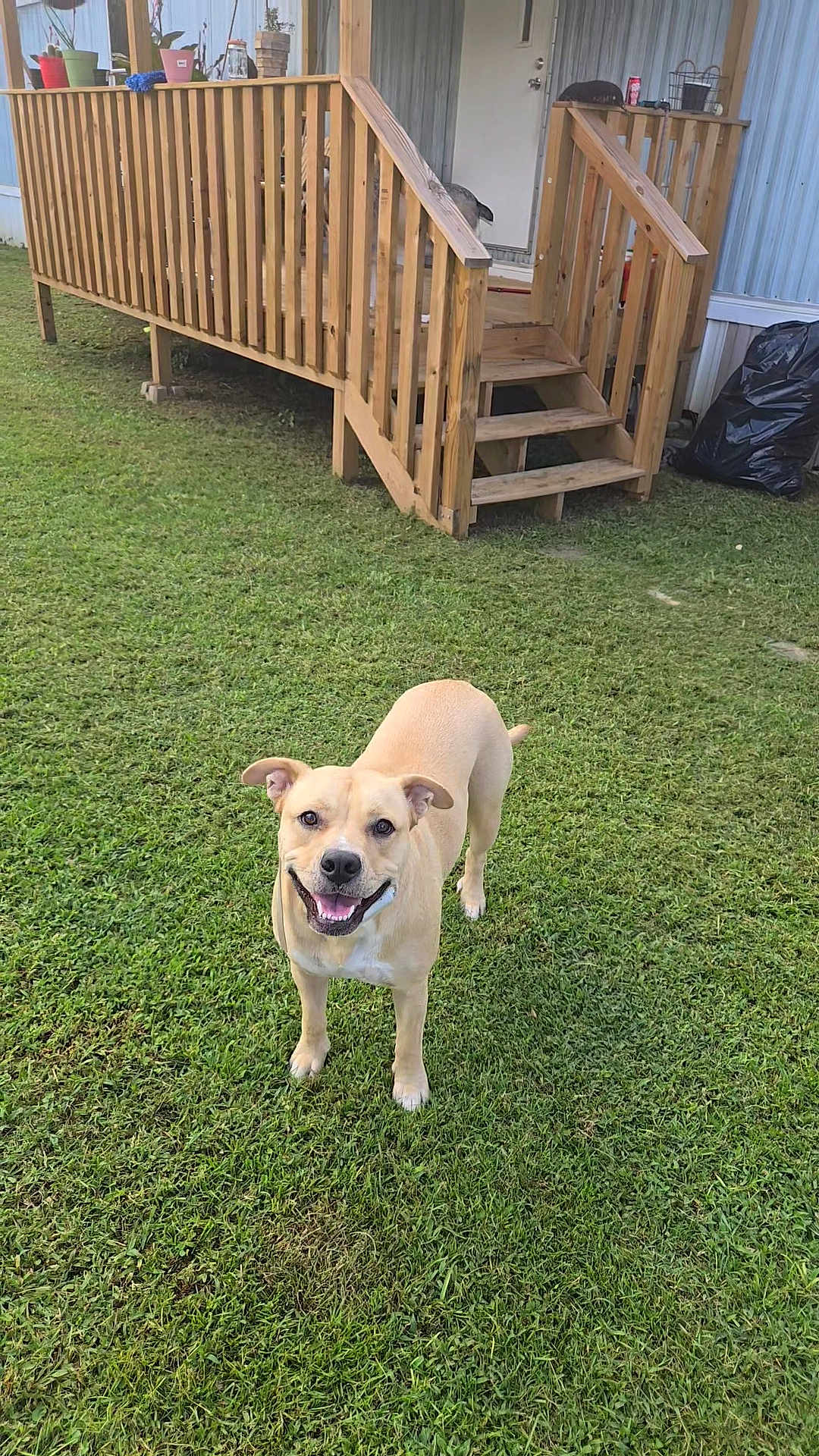 Nala