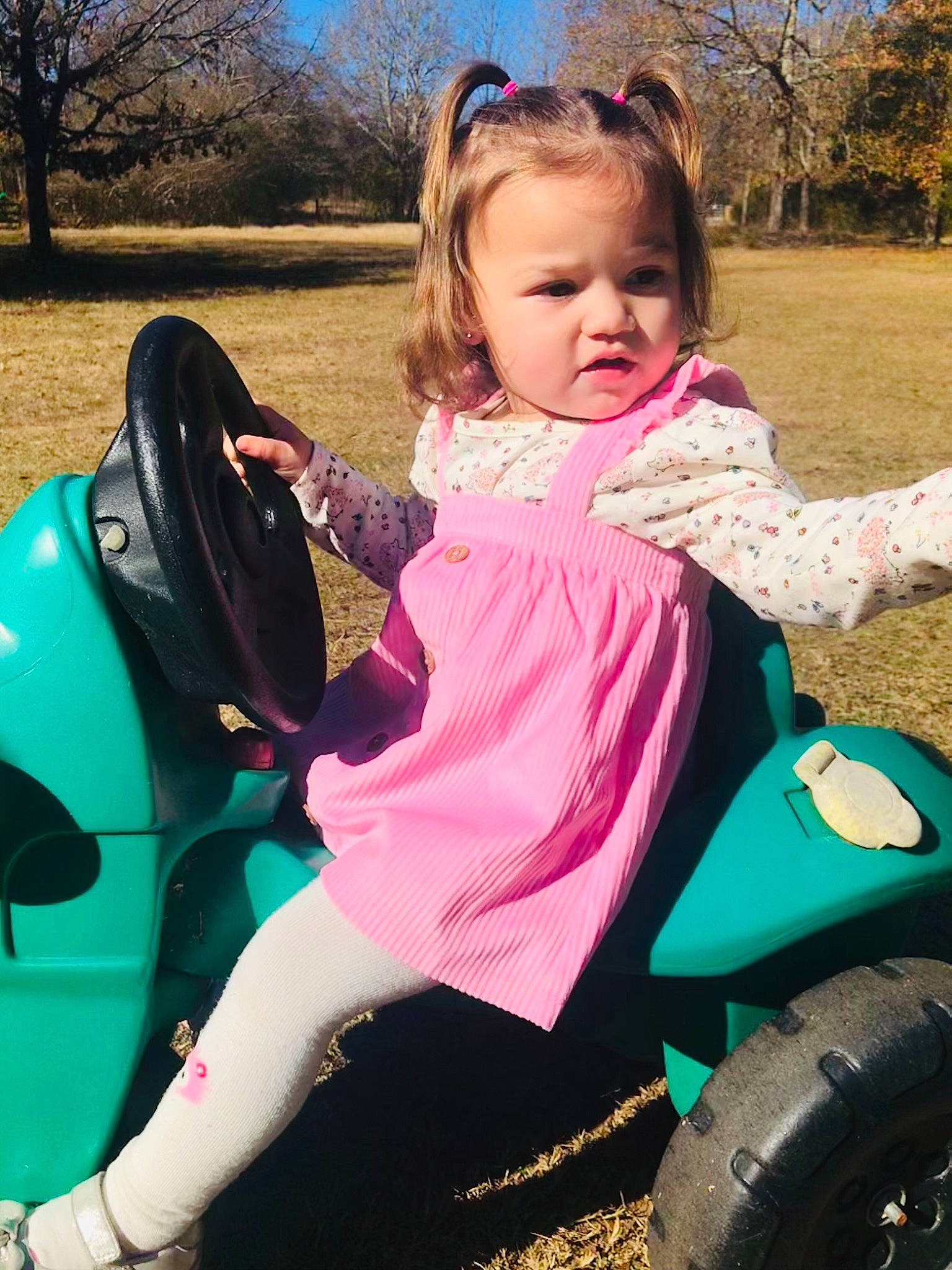 Emmalee is registered to the contest to win money with this photo: automotive_design, blue, eye, face, fun, green, hair, happy, head, motor_vehicle, organ, people_in_nature, person, photograph, pink, plant, product, skin, tire, tree