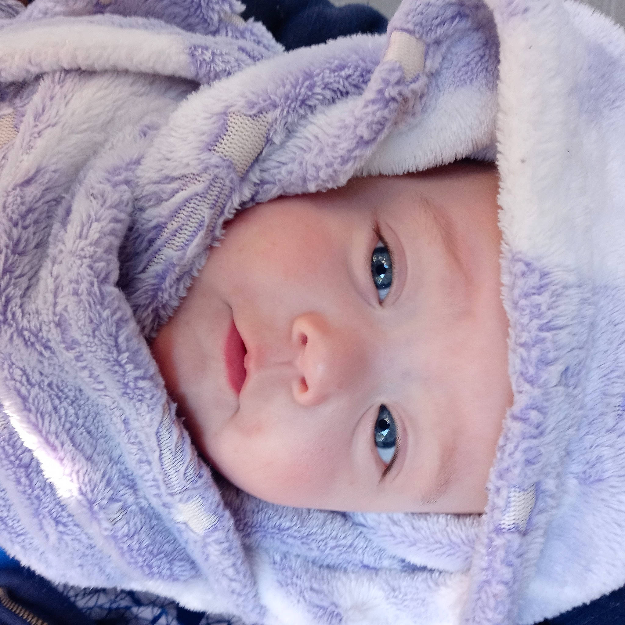 Galaxy joined the competition — help win amazing prizes! cheek, child, comfort, electric_blue, eye, eyebrow, eyelash, flash_photography, fur, head, headwear, iris, lip, no_expression, nose, person, plant, portrait_photography, skin, tree